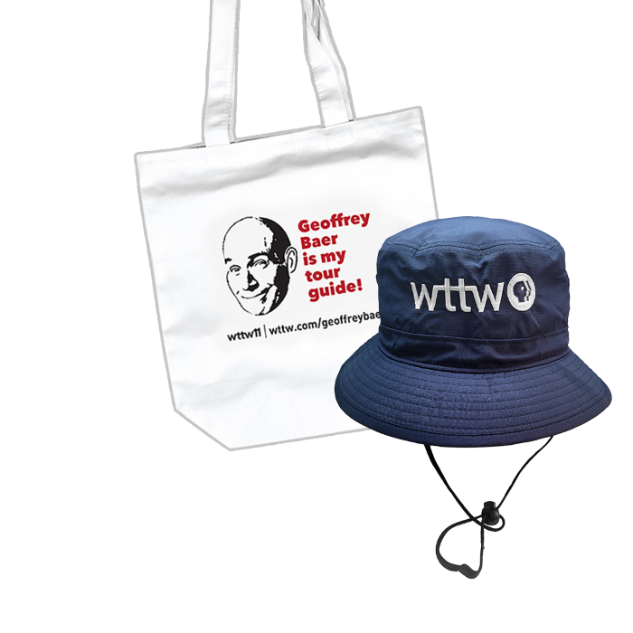 Henry Louis Gates Jr The Fabric Of America PKIT Pledge henry-louis-gates-jr-the-fabric-of-america-pkit-pledge